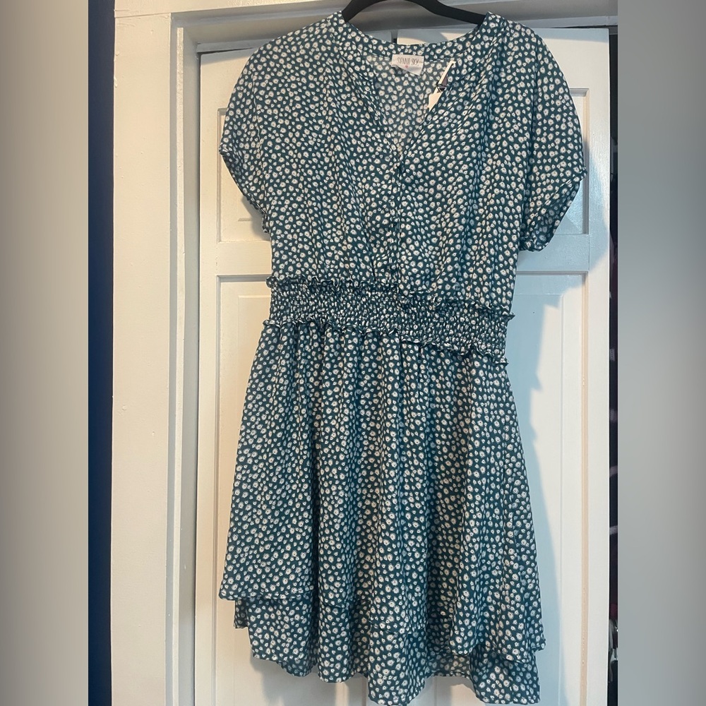 NWT-Sienna Sky Women's Dress
